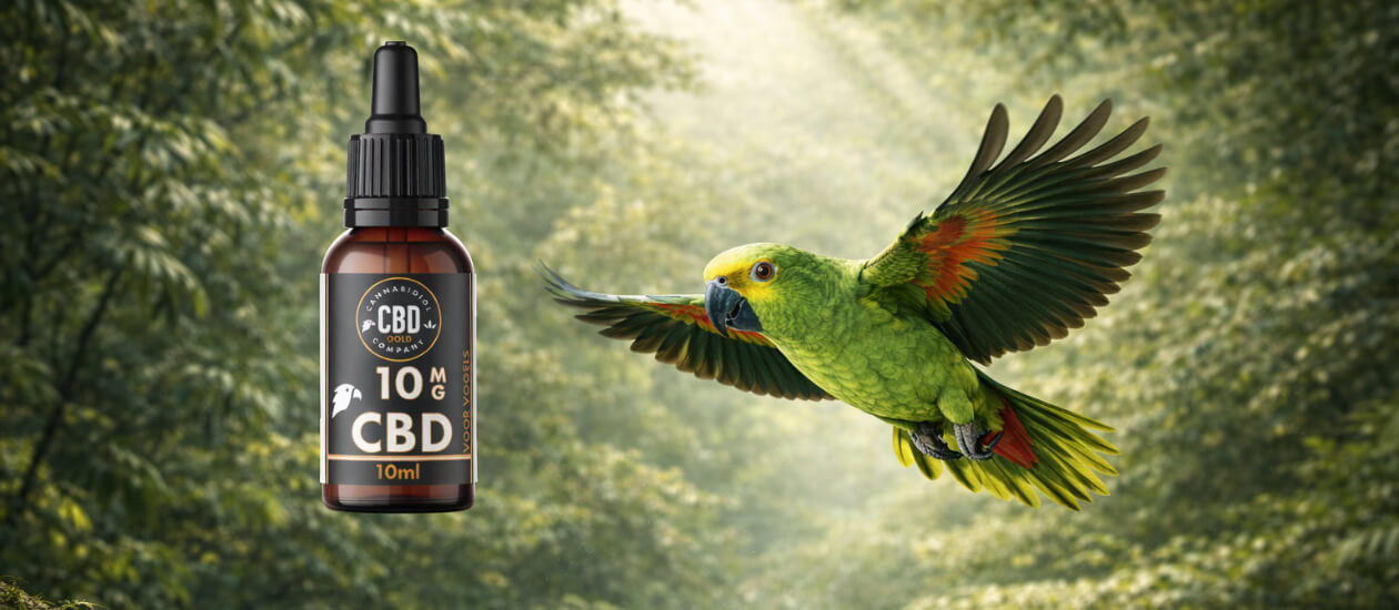 Inhoudsopgave Waarom dosering bij Amazones zo belangrijk is Factoren die de juiste CBD-dosering bepalen Algemene richtlijn in mg CBD per kilogram lichaamsgewicht Tabel: dosering CBD olie Amazone papegaai Van milligram naar druppels — zo reken je het om Praktische rekenvoorbeelden Hoe vaak per dag CBD geven? Dosering opbouwen en afbouwen Veelgemaakte fouten bij dosering Veelgestelde […]
