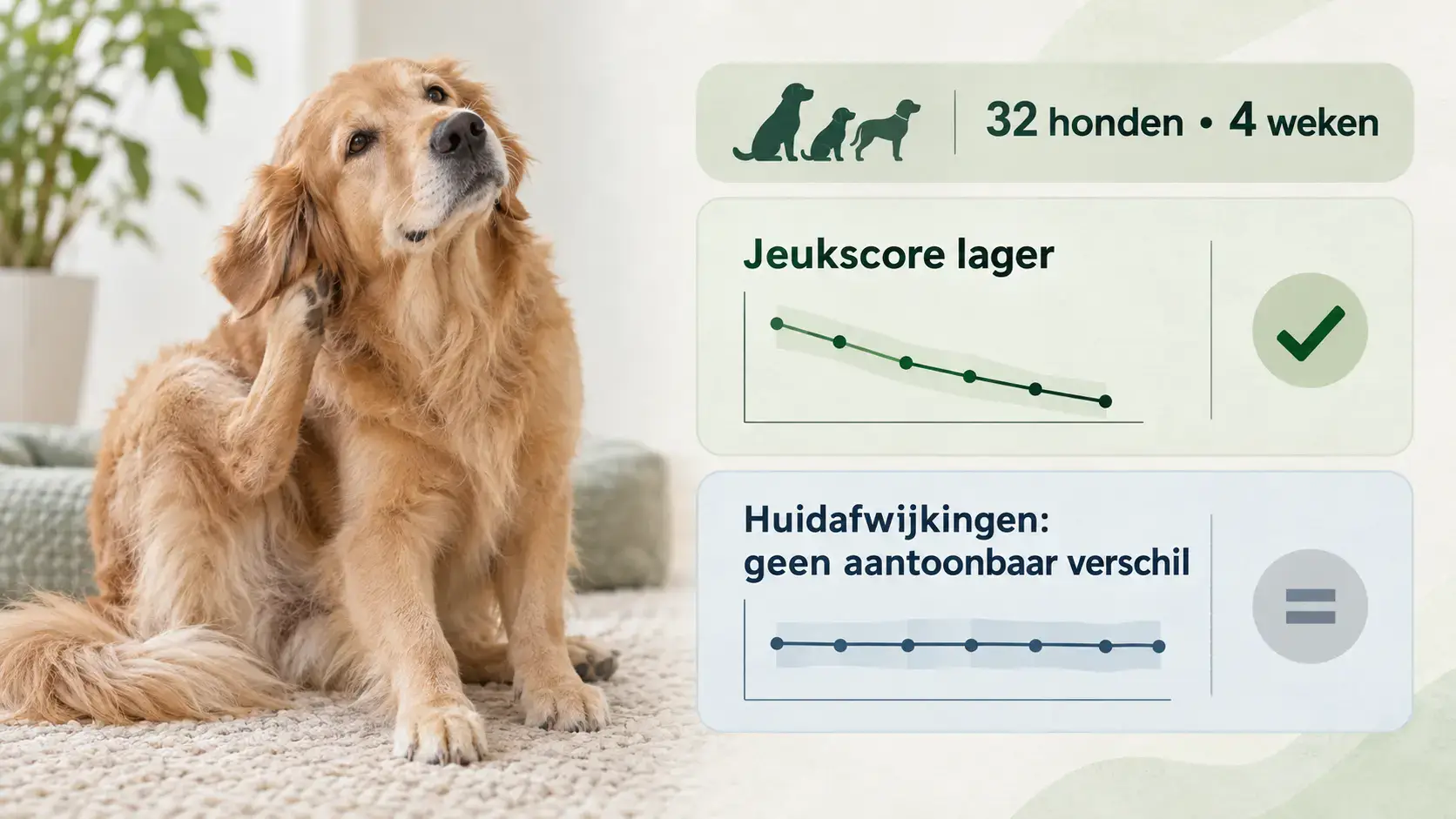 Oorspronkelijk beeld bij dit artikel